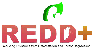 REDD+ Carbon and Biodiversity Advisors Limited